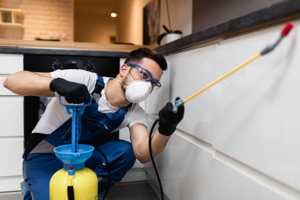 Best Affordable Pest Control Services  in Salem Heights, OH