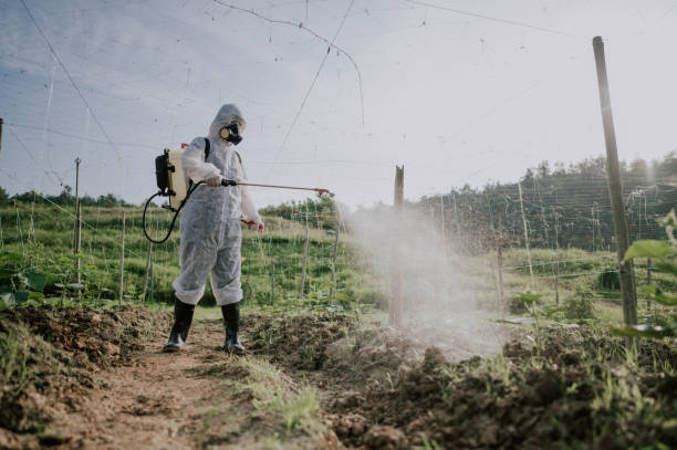 Best Pest Control Cost  in Salem Heights, OH