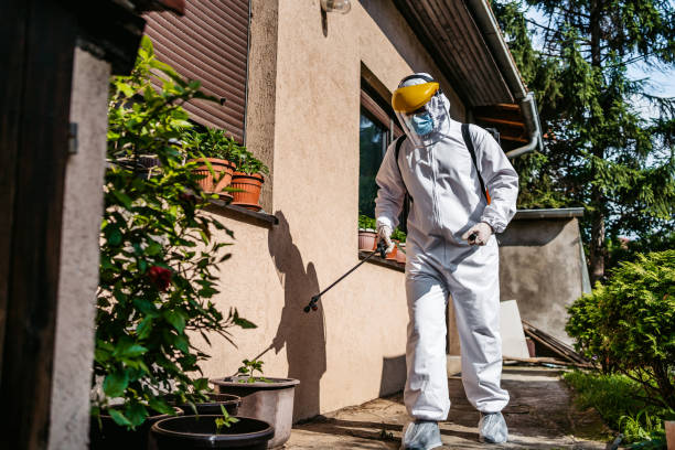 Best Mosquito Control Services  in Salem Heights, OH