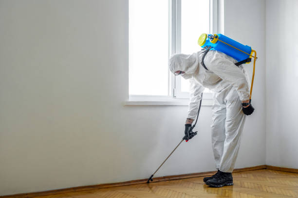 Best Best Pest Control Companies  in Salem Heights, OH