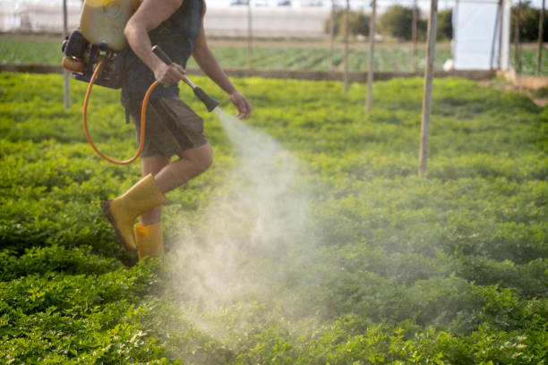 Professional Pest Control in Salem Heights, OH