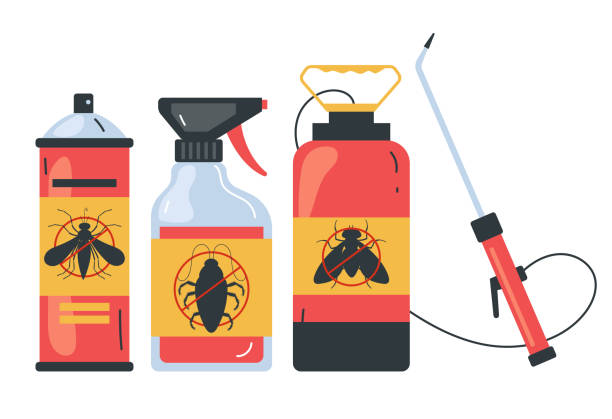 Wasp Removal Services in Salem Heights, OH