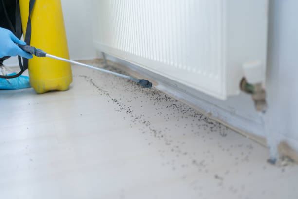 Best Pest Control Treatment  in Salem Heights, OH