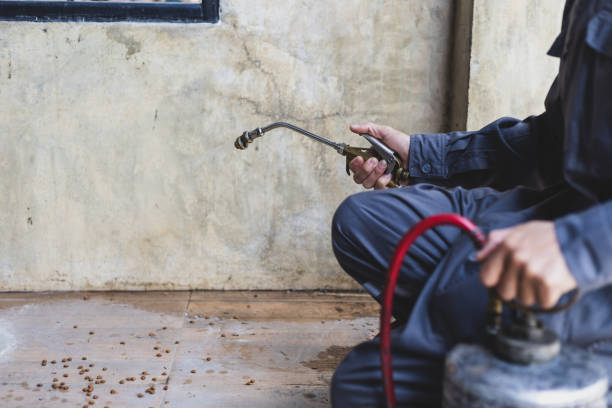 Pest Prevention Services in Salem Heights, OH
